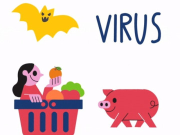 Chi tiết cơ chế lây nhiễm của Virus Nipah