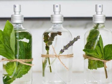 Tinh dầu thiên nhiên dưỡng da: 4 loại mát lành giúp da rạng rỡ, khỏe đẹp từ bên trong