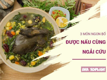 Đừng bỏ qua ngải cứu mùa lạnh: 3 món ngon vừa ấm bụng vừa tốt cho sức khỏe