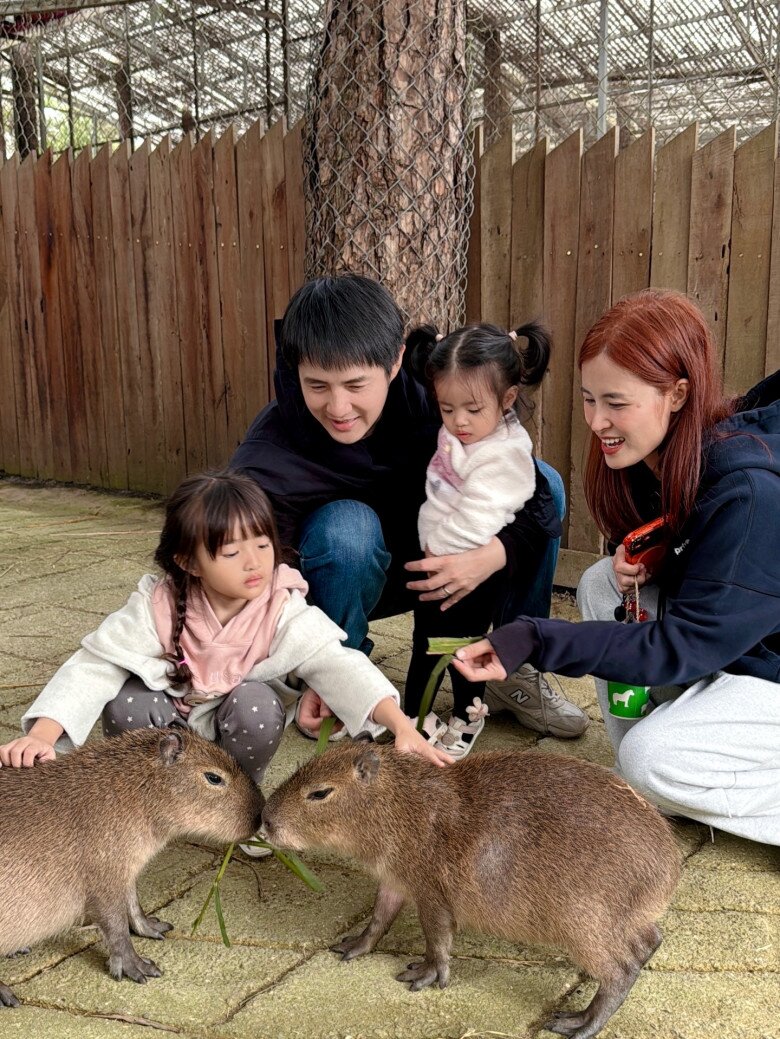 Sao Việt 24h: NSND Hồng Vân khoe amp;#34;dáng nuộtamp;#34; thon thả ở tuổi U60, nhan sắc sau giảm cân amp;#34;thăng hạngamp;#34; không kém thời trẻ - 11