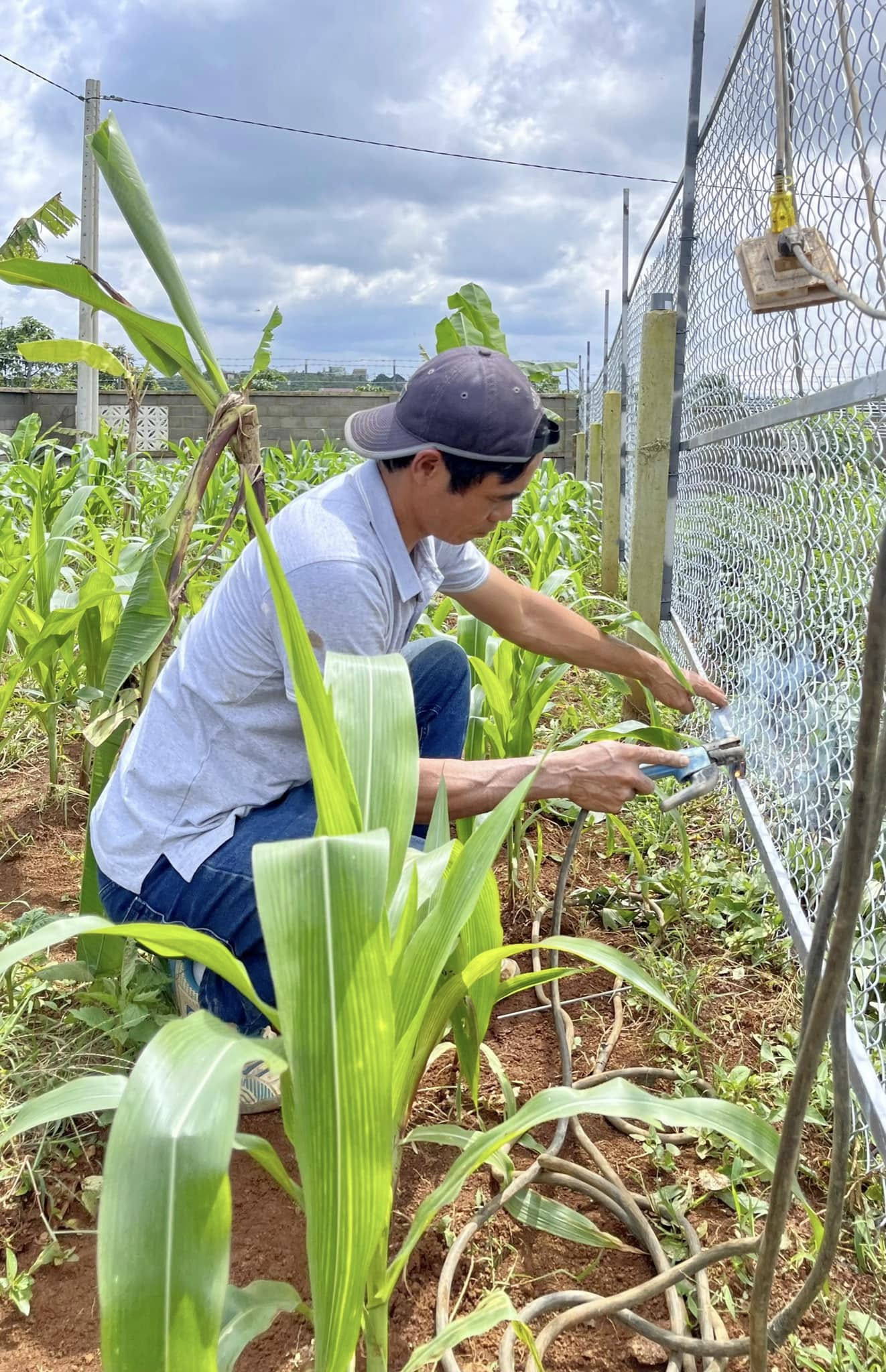 Giám đốc ở TPHCM amp;#34;trốn phốamp;#34;, làm nhà vườn 3.000m² xanh mát ở Lâm Đồng - 1