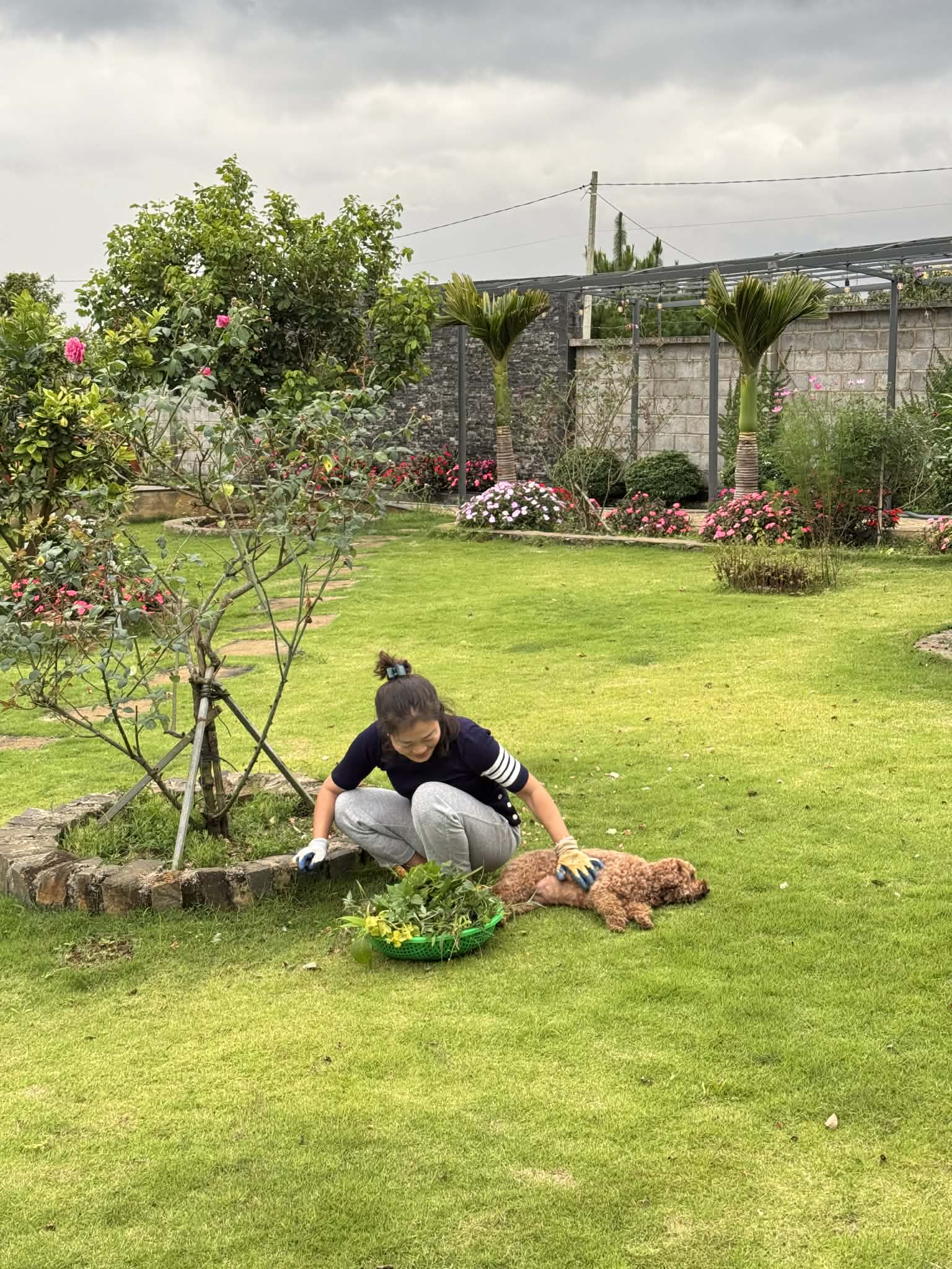 Anh nuôi thêm đàn gà để lấy trứng và chăm vài chú chó, mèo cho vui cửa vui nhà