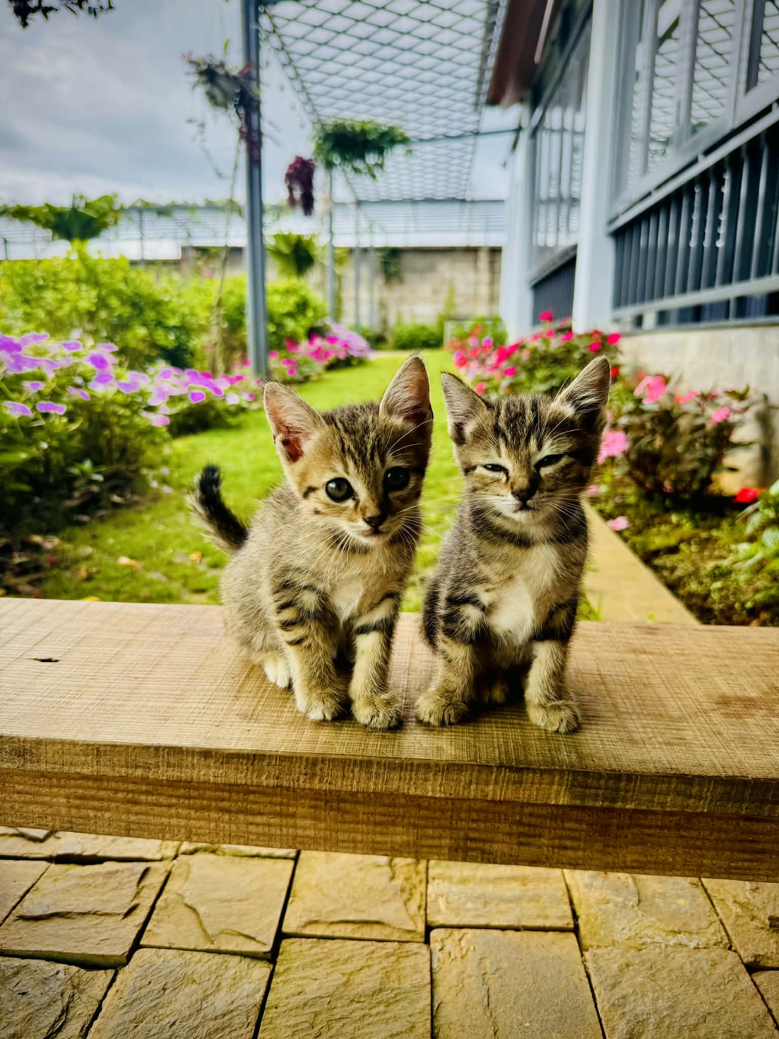 Giám đốc ở TPHCM amp;#34;trốn phốamp;#34;, làm nhà vườn 3.000m² xanh mát ở Lâm Đồng - 9