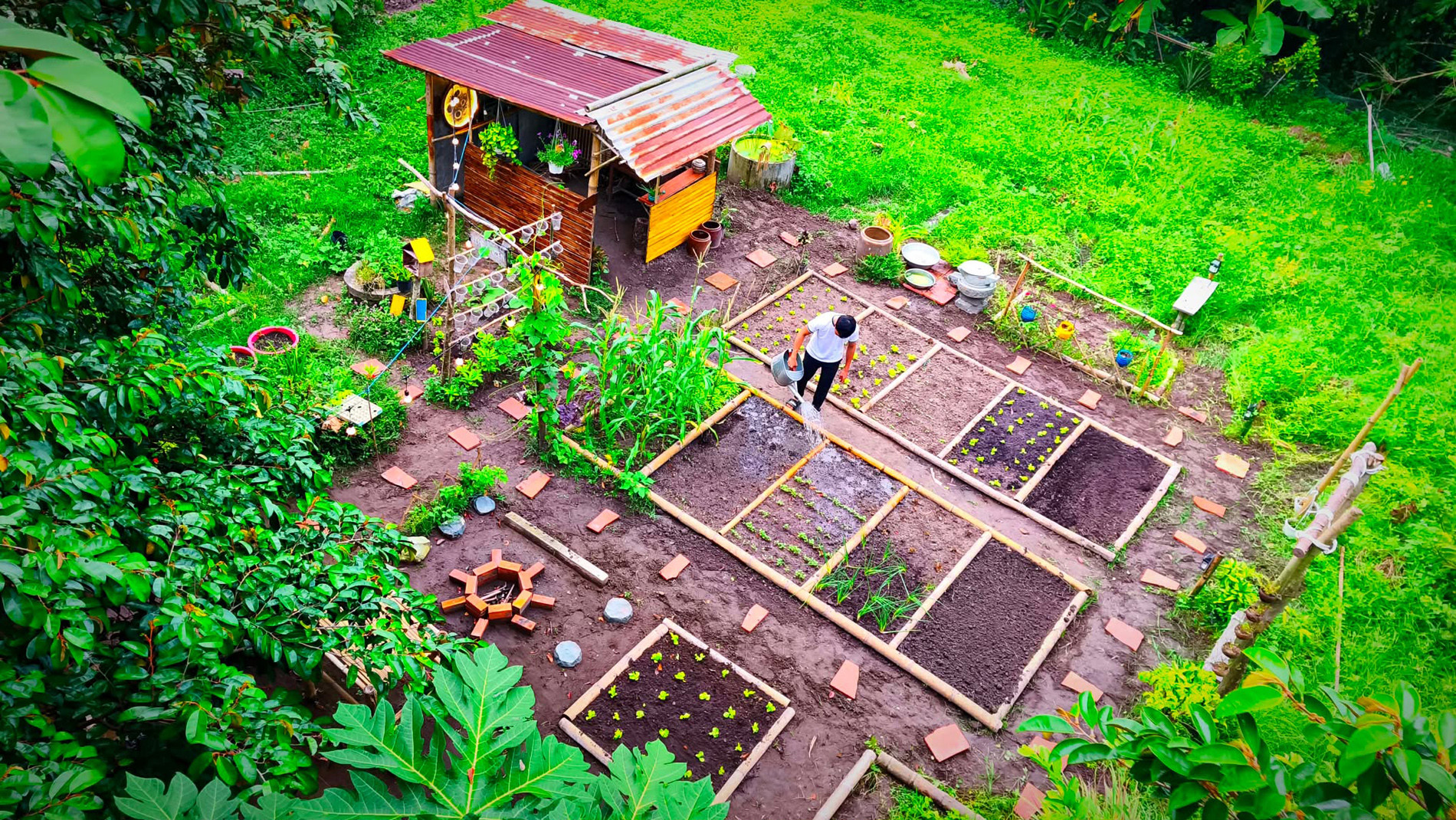 Chàng trai ở TPHCM làm khu vườn 600m2 đẹp mắt, nấu cơm bếp củi, ăn rau tự trồng - 2