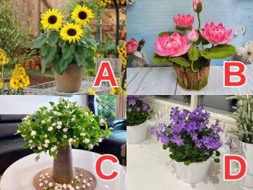 Bà bầu - Bạn sẽ đón tin vui mang thai vào thời điểm nào trong năm 2026? Chọn chậu hoa theo trực giác và nhận ngay thông điệp