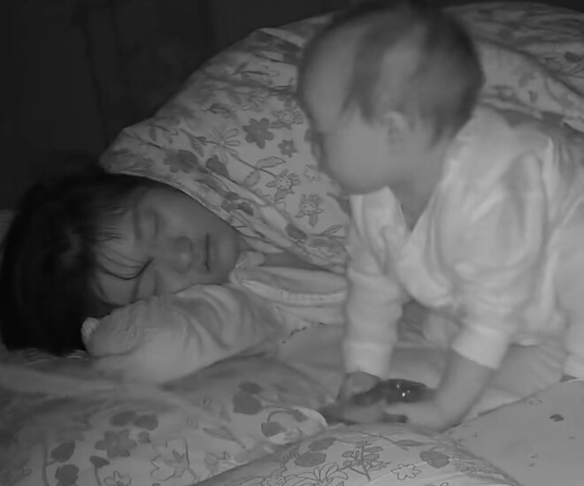 Hành động đánh thức mẹ vào buổi sáng của em bé 1 tuổi gây bão mạng xã hội.