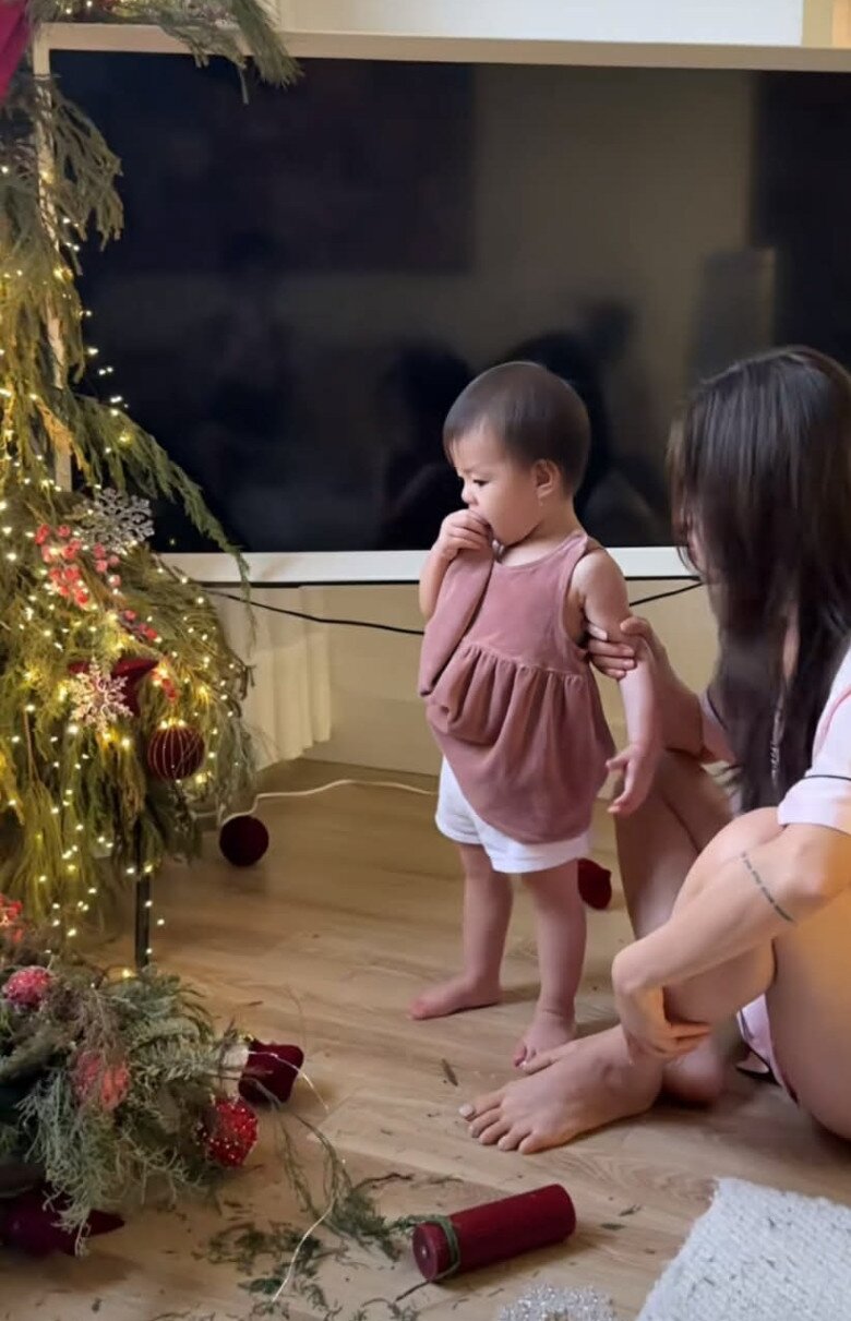 Từ cây thật đến cây giả đều là nạn nhân.