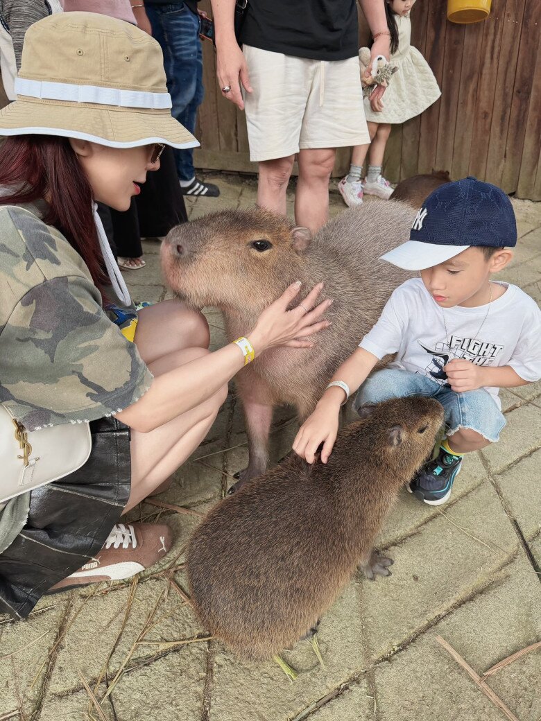 Diệp Lâm Anh sum vầy cùng hai con đầu năm 2026, người đi đường kể cảnh cô một nách hai con đầy vất vả - 4