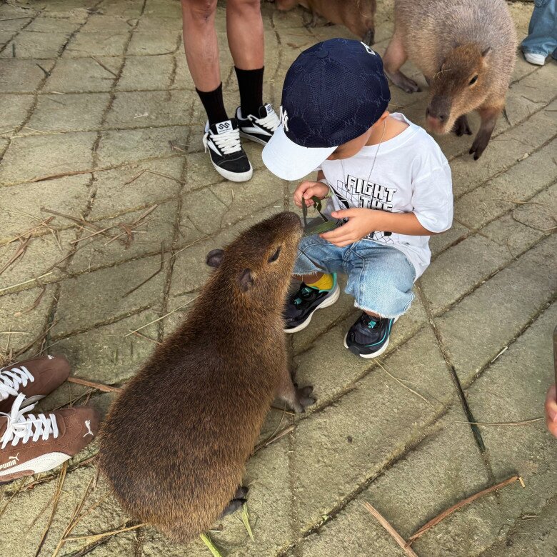 Diệp Lâm Anh đã đón con trai Bboy từ bên nhà nội để đưa đi chơi cùng dịp đầu năm.