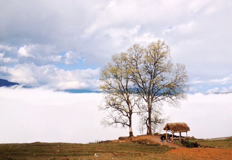 Y Tý là vùng cao biên giới được mệnh danh là “thiên đường săn mây” của Tây Bắc. Nằm ở độ cao hơn 2.000m, Y Tý là một thung lũng rộng lớn với diện tích hơn 86,54 km2, gây ấn tượng bởi biển mây cuồn cuộn, núi non trùng điệp và những bản làng mộc mạc của người dân tộc.