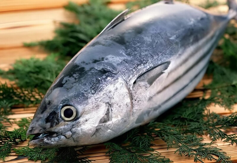 Cá ngừ đại dương có thớ thịt dày, rất ít xương dăm nên được xem là một trong những loại cá dễ ăn nhất. Cá ngừ đại dương giàu protein, sắt, vitamin B6… giúp tăng sức bền, hỗ trợ tạo máu, phục hồi cơ bắp, phù hợp với người chơi thể thao hoặc đang cần bồi bổ.