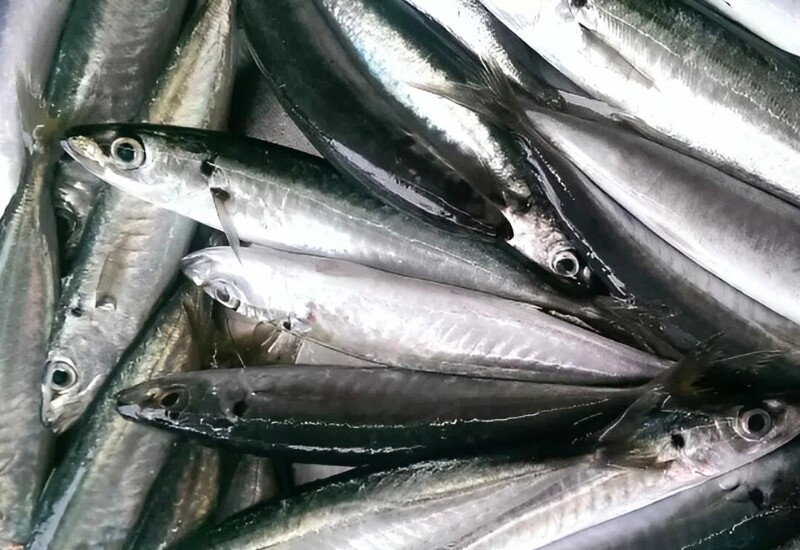 Cá nục là hải sản bình dân nhưng giàu omega-3 (EPA, DHA), vitamin D, B12 và selen - những dưỡng chất hỗ trợ tim mạch, giảm cholesterol xấu và tốt cho não bộ. Hàm lượng đạm cao nhưng ít béo, phù hợp cả người lớn tuổi lẫn trẻ nhỏ.