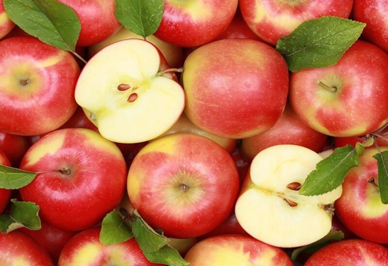 Táo là loại trái cây quen thuộc, giá rẻ nhưng lại được nhiều chuyên gia dinh dưỡng xếp vào nhóm trái cây tốt nhất thế giới cho tim mạch. Trong táo có nhiều pectin - một dạng chất xơ hòa tan giúp giảm cholesterol xấu và hạn chế tích tụ mỡ trong thành mạch.