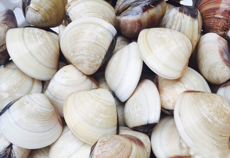 Nghêu là loại hải sản quen thuộc nhưng chứa nhiều selen, sắt, kẽm và protein cần thiết cho cơ thể. Những dưỡng chất này giúp tăng cường hệ miễn dịch, hỗ trợ quá trình tạo máu và góp phần bảo vệ sức khỏe tim mạch. 