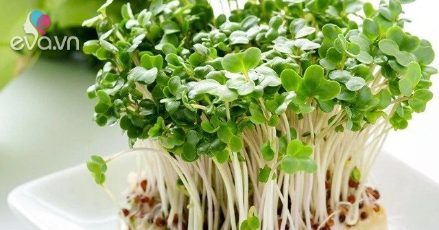4 loại rau bán đầy chợ Việt với giá từ 5.000 đồng, ăn lúc nảy mầm mới ...