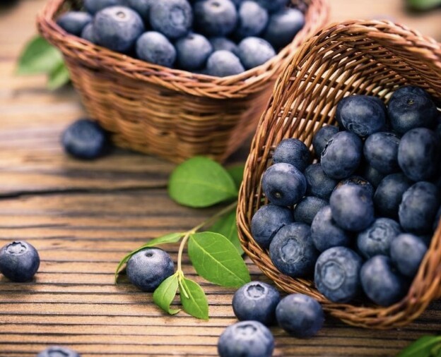 Quả việt quất được nghiên cứu từ Đại học Harvard đánh giá tốt số 1 về dưỡng chất (Ảnh minh hoạ)