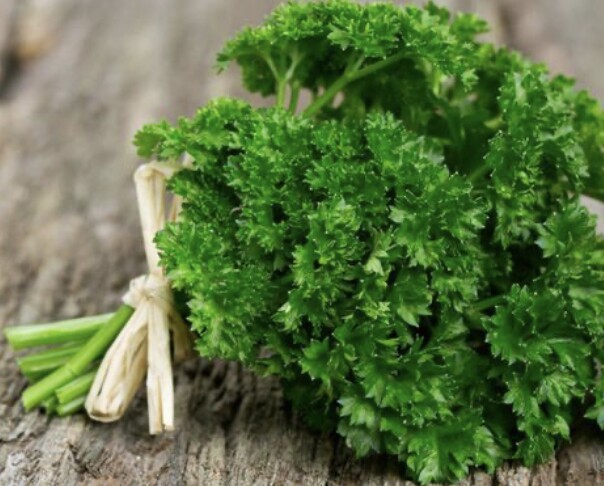 Rau mùi tây nằm trong top những loại rau tốt nhất thế giới do một tạp chí nổi tiếng bình chọn (Ảnh minh hoạ)