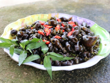 Sức khỏe - 3 thực phẩm giàu canxi hơn sữa, có loại cao gấp 23 lần là đặc sản miền quê, ở chợ Việt bán nhiều với giá rẻ