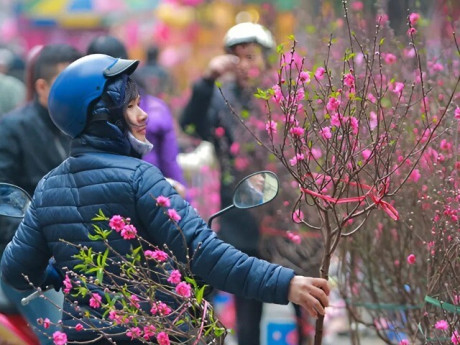 Thời tiết dịp Tết Nguyên đán Bính Ngọ 2026 mới nhất: Liệu có rét đậm, rét hại như các năm trước đây?