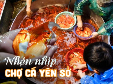 Tấp nập chợ cá lớn nhất Hà Nội trước ngày ông Công ông Táo: “140.000 đồng/kg không lấy thì thôi, một tiếng sau giá khác"