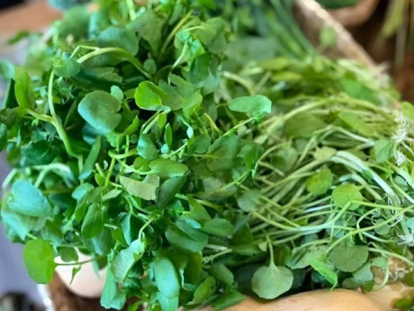 Sức khỏe - 13 loại thực phẩm ít ngậm "thuốc trừ sâu" bán đầy chợ Việt, nấu món gì cũng ngon, từ 5.000 đồng là mua được