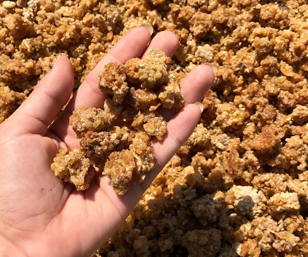 Thời gian ủ mốc phụ thuộc rất nhiều vào thời tiết, kinh nghiệm của người làm. Mốc đạt chuẩn phải có màu vàng hoa cau, mùi thơm nhẹ, không chua gắt, không đen mốc. Chỉ cần sai lệch một chút, cả mẻ tương có thể hỏng hoàn toàn.