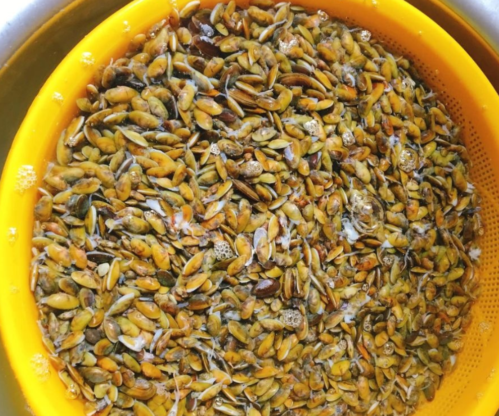 Con don được người dân khai thác qua bao thế hệ và trở thành món đặc sản mà bất cứ ai ghé Quảng Ngãi cũng nên thử một lần.