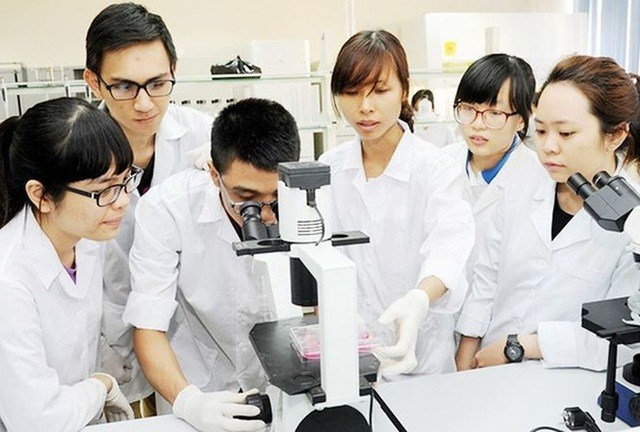 Sinh viên được đào tạo về sinh học phân tử, vi sinh, công nghệ gen, nuôi cấy tế bào, công nghệ enzyme và quy trình sản xuất sinh học. Đây là ngành đòi hỏi sự tỉ mỉ, tư duy nghiên cứu và nền tảng khoa học vững chắc.