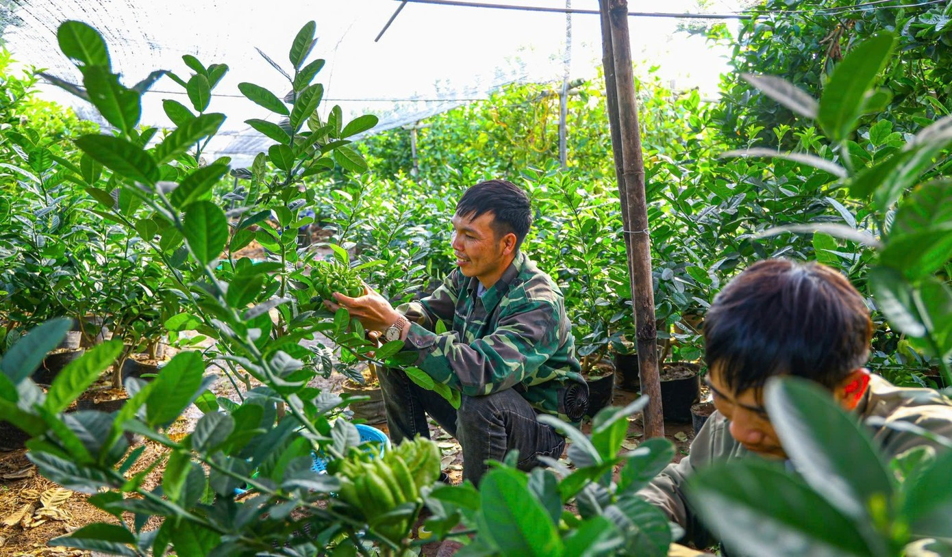 Tin tức 24h: Thời tiết Tết Nguyên đán thay đổi thế nào? - 3