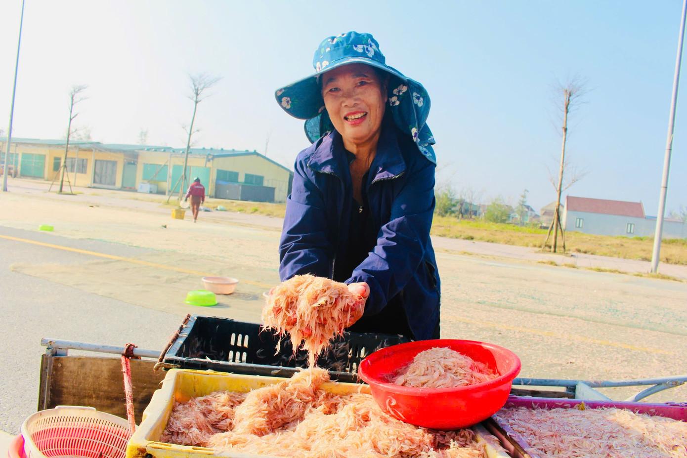Tại phường Hải Ninh, khoảng 5 ngày nay, nhờ thời tiết thuận lợi, sóng yên biển lặng, các tàu thuyền ra khơi khai thác gần bờ đã gặp đúng luồng ruốc và cá cơm dày đặc.