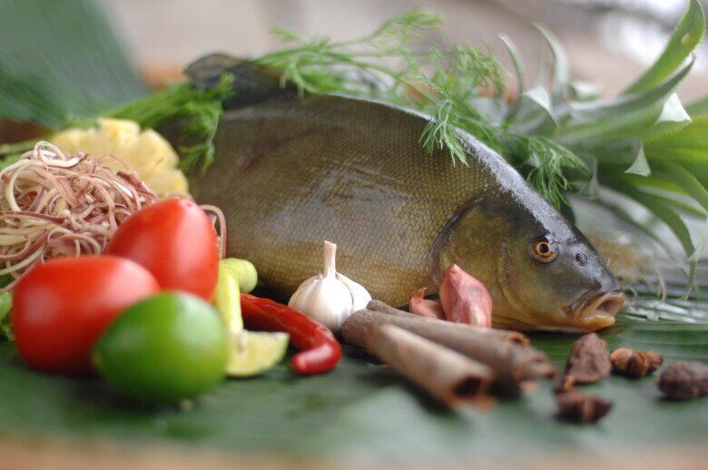Với hàm lượng dinh dưỡng cao, đặc biệt loại cá này được mệnh danh là thần hộ mệnh của lá lách, dạ dày, hỗ trợ hệ tiêu hoá cực tốt (Ảnh minh hoạ)