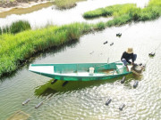 Tin tức - Nghề lạ ở Việt Nam: Nông dân đổi đời vươn lên làm giàu nhờ nuôi lộc trời "đắt đỏ", chị em phụ nữ thích mê