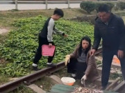 Tin tức - Xôn xao clip gia đình nổi lửa, nướng đồ ăn trên đường ray