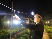 Tin tức - Người dân thắp đèn xuyên đêm "thúc" hoa Tết