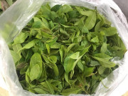 Tin tức - Thứ xưa rụng đầy gốc không ai ngó ngàng nay lên đời thành đặc sản lạ, hương vị hấp dẫn, giá gần 100.000 đồng/kg