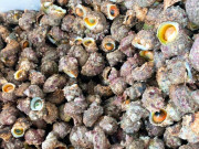 Tin tức - Đặc sản có tên độc lạ, xưa không ai ăn, nay thành món ngon nổi tiếng khắp vùng, 80.000 đồng/kg