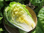 Sức khỏe - 13 loại rau lá mùa Xuân "tốt nhất thế giới", thích hợp trong mâm cơm Tết Bính Ngọ cho cả nhà, giá từ 15.000 đồng/kg