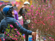 Tin tức - Thời tiết từ mùng 2 đến mùng 6 Tết Bính Ngọ