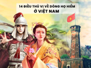 Tin tức - Dòng họ nào cực hiếm, có vị tướng giỏi chế tạo nỏ thần gắn với truyền thuyết Trọng Thủy Mỵ Châu, vang danh sử Việt?