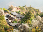 Lifestyle - Cách Hà Nội 200 km có một nơi đẹp như tranh vẽ, vừa được săn mây, vừa ngắm hoa sơn tra phủ kín núi cực đẹp