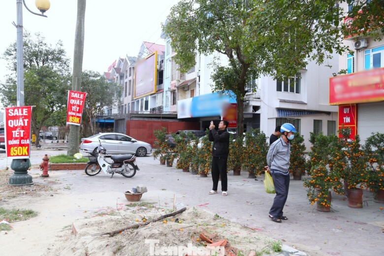 Dọc Đại lộ Lê Nin (phường Vinh Phú), tiểu thương treo biển “Sale quất Tết đồng giá 850k”, tuy nhiên vẫn ít khách hỏi mua. Một số tiểu thương tranh thủ “đẩy hàng” bằng cách khuyến mại thêm chậu, thêm phân bón, song hiệu quả không đáng kể.