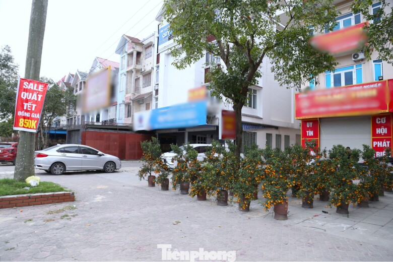 “Ngày 27 Tết mọi năm là cao điểm, năm nay cả buổi mới bán được vài cây. Tiền thuê mặt bằng, tiền ăn ở, nhân công đều đội lên mà hàng đứng im”, Nguyễn Văn Nghĩa, một người bán, cho hay.
