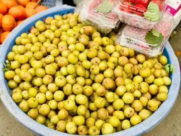 Loại quả rừng vị “khổ trước sướng sau” bất ngờ thành món đặc sản được nhiều người “săn đón”