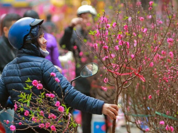 Thời tiết từ mùng 2 đến mùng 6 Tết Bính Ngọ