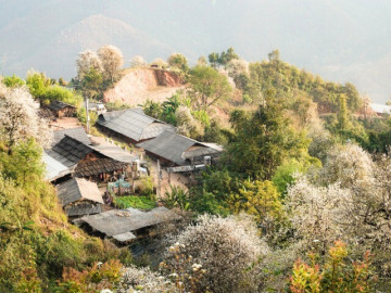 Cách Hà Nội 200 km có một nơi đẹp như tranh vẽ, vừa được săn mây, vừa ngắm hoa sơn tra phủ kín núi cực đẹp