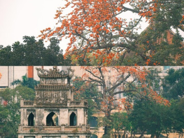 Ngắm loạt ảnh mùa cây thay lá, hiểu vì sao Hà Nội lọt top 50 thành phố đẹp nhất thế giới
