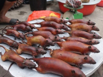 Đặc sản chỉ có ở Tuyên Quang, nhìn sợ khiếp vía không ngờ là món ngon được người thành phố săn lùng, 90.000 đồng/kg