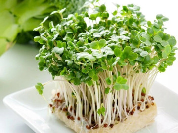 4 loại rau có giá rẻ bèo bán đầy chợ Việt với giá từ 5.000 đồng, ăn lúc nảy mầm mới giàu dinh dưỡng