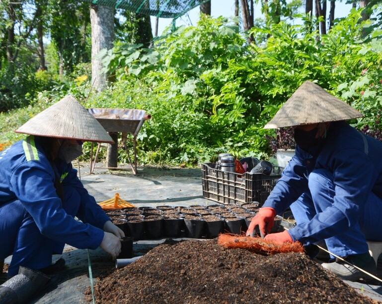 Để phòng ấu trùng giun đũa chó mèo cần tẩy giun định kỳ cho vật nuôi, đồng thời dùng bảo hộ khi làm vườn, tiếp xúc với đất cát. Ảnh minh họa. 