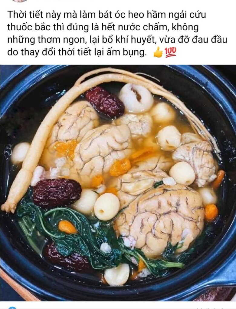 Rất nhiều công dụng của món óc heo tần ngải cứu được người dùng mạng chia sẻ. Ảnh chụp màn hình.